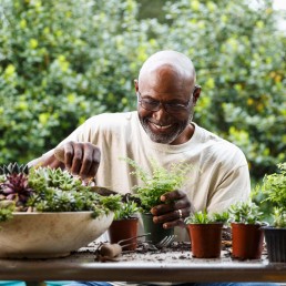 man gardening with plants