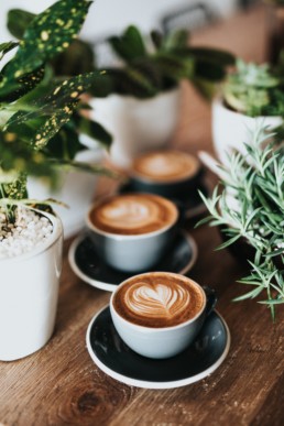 Coffees on top of a wooden worktop surrounded by plants