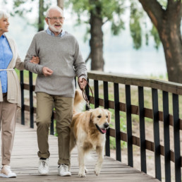elderly couple enjoying walking their dog